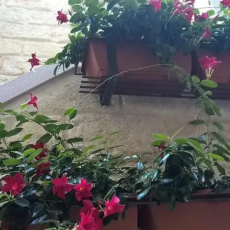 公寓 Casa Vischi